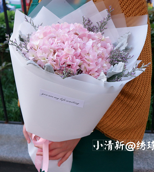 美满团聚 · 粉绣球花束