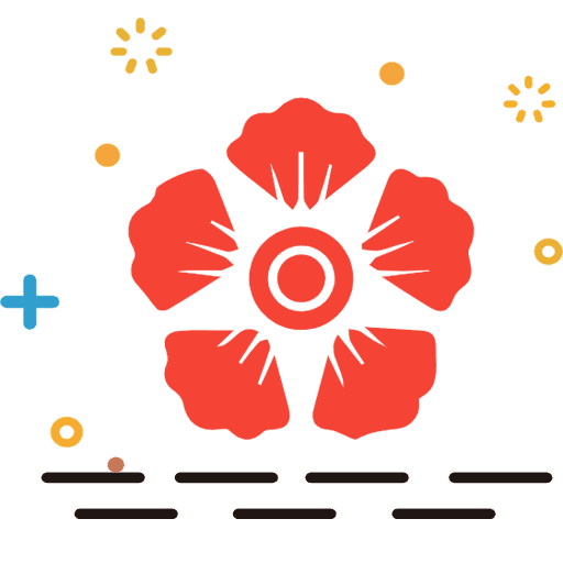 诺朵儿鲜花