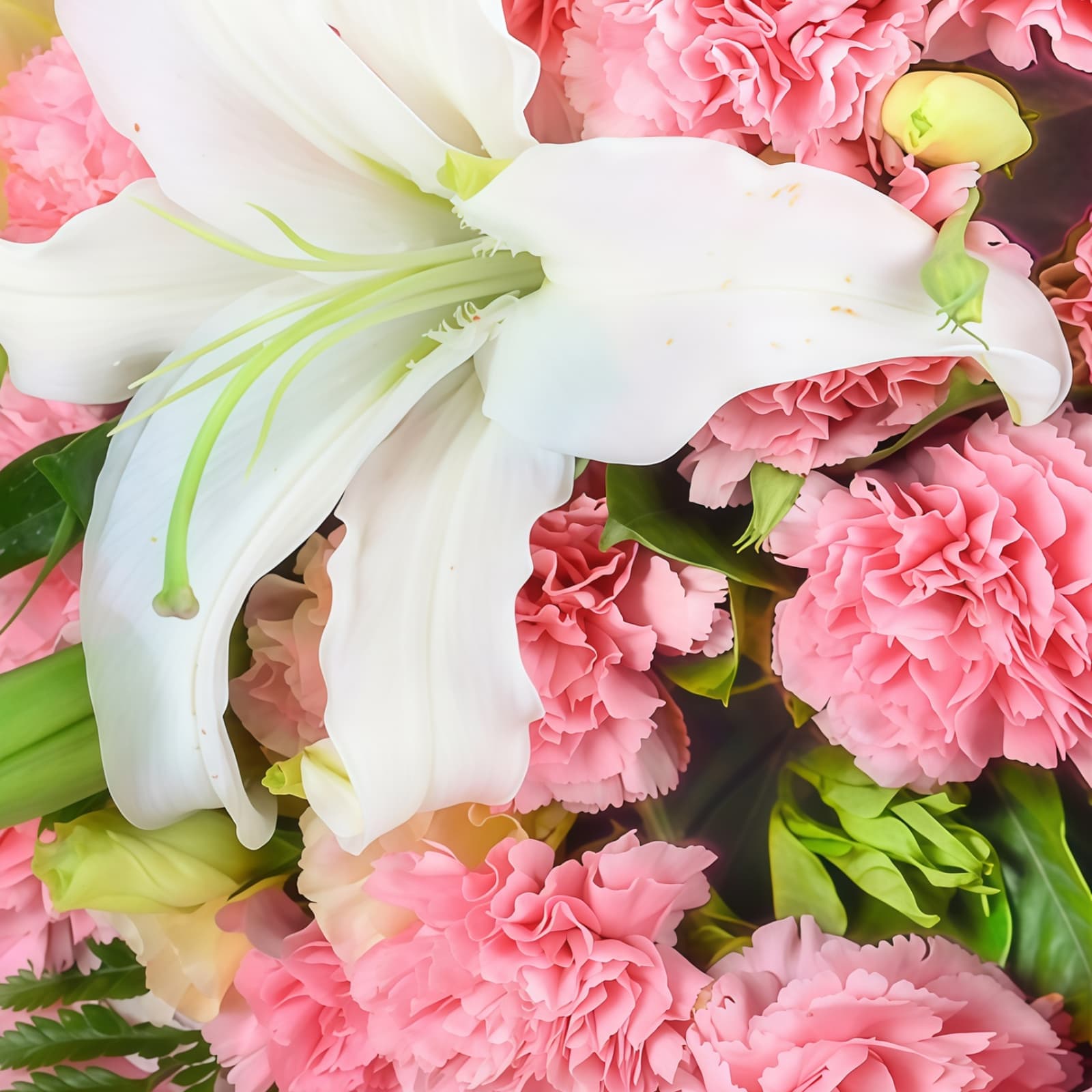 珍重万千 · 粉康乃馨与香水百合 19 Pink Carnations & Lilies Bouquet - Gentle Affection Floral Gift - 3