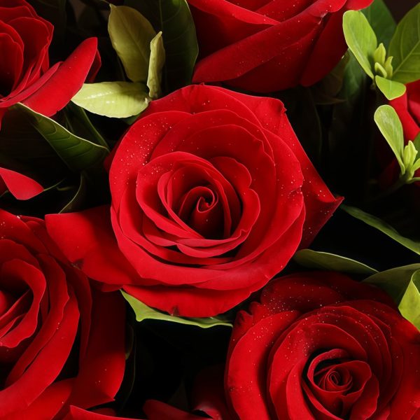 女神之选 · 9枝红玫瑰花束 9 Red Roses Bouquet - Radiant Elegance | Romantic Floral Gift - 3