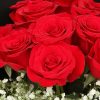 黑夜之光 · 11枝经典红玫瑰手捧花 11 Red Roses Bouquet - Midnight Glow | Romantic Floral Gift - 4