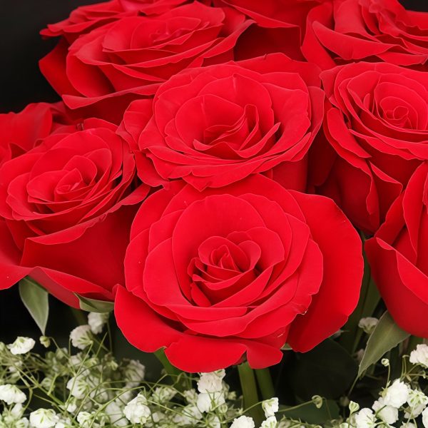 黑夜之光 · 11枝经典红玫瑰手捧花 11 Red Roses Bouquet - Midnight Glow | Romantic Floral Gift - 4