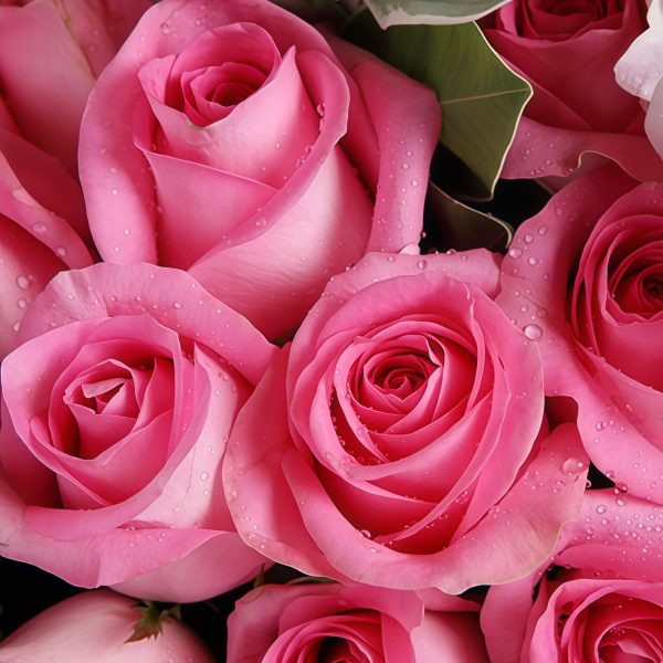 最美的旋律 · 粉玫瑰与绣球花束 Sweet Melody: Pink Roses & Hydrangea Bouquet | Elegant Floral Gift - 4