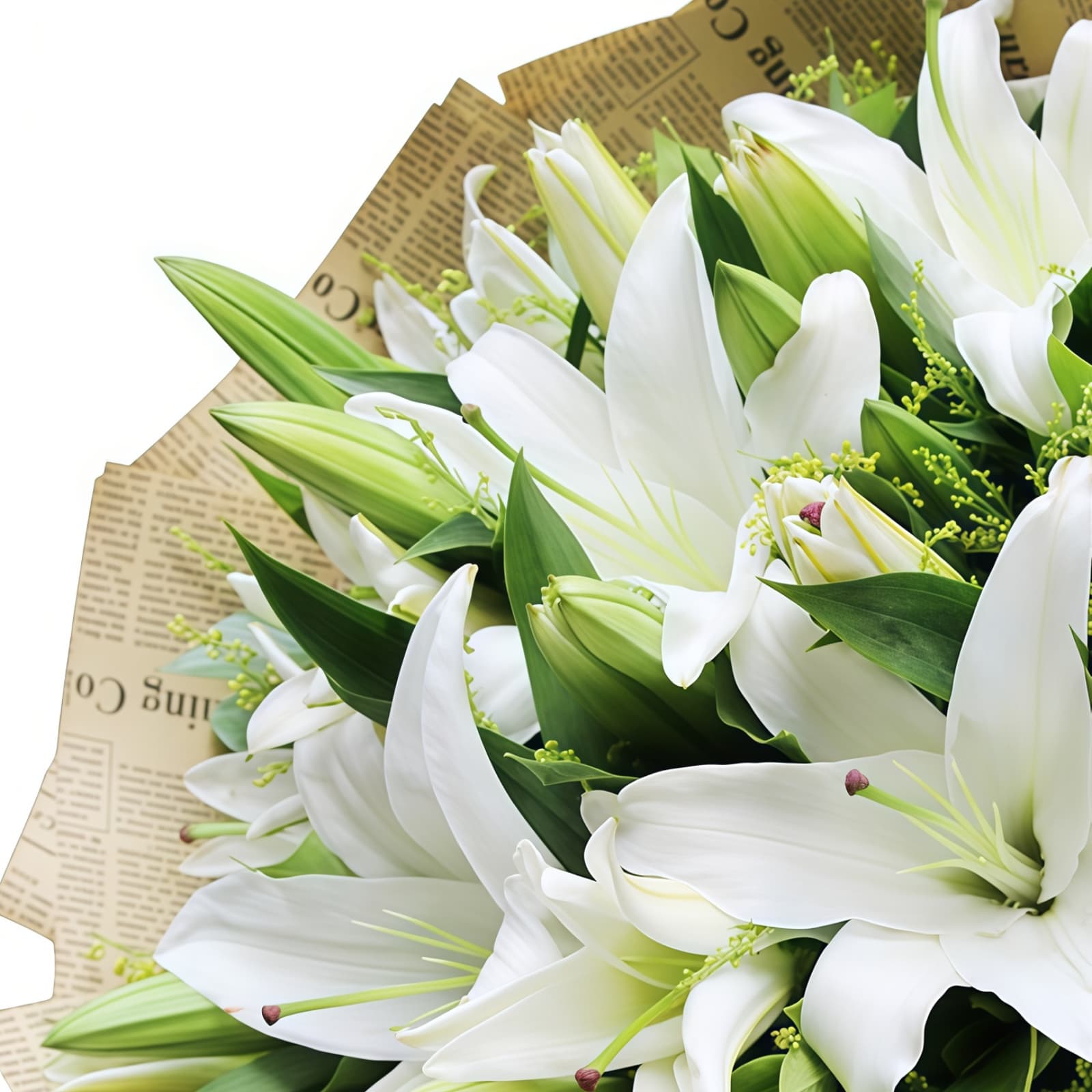 幸福永远 · 白百合与黄莺花束 19 White Lilies Bouquet - Eternal Happiness & Elegant Floral Gift - 4