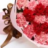 33 Mixed Carnations Bouquet | Eternal Affection Floral Gift - 4