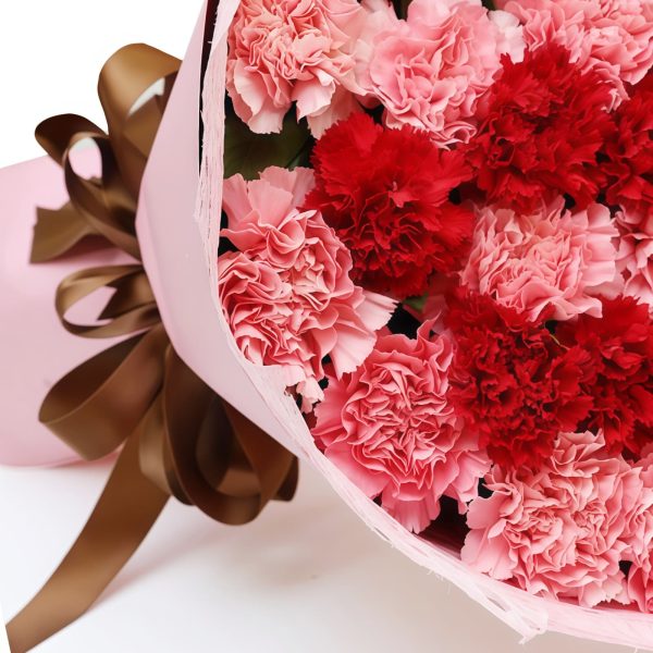 33 Mixed Carnations Bouquet | Eternal Affection Floral Gift - 4