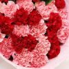 33 Mixed Carnations Bouquet | Eternal Affection Floral Gift - 3