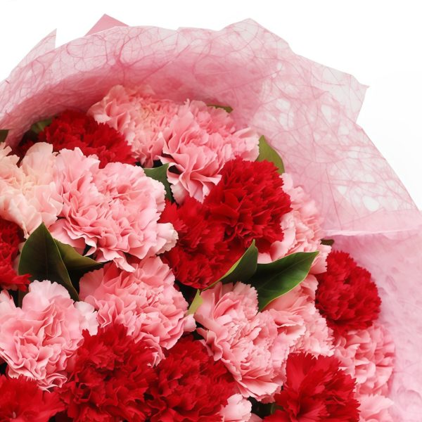 33 Mixed Carnations Bouquet | Eternal Affection Floral Gift - 5
