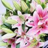 心花怒放 · 19朵粉百合花束 19 Pink Lilies Bouquet - Heartfelt Joy | Fresh Floral Arrangement - 3