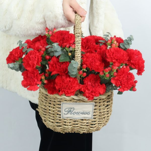 母亲节推荐款 · 康乃馨手提花篮 19 Red Carnations Basket - Crimson Devotion | Fresh Flower Gift
