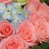 相守相依 · 粉佳人玫瑰与蓝色绣球花束 19 Pink Roses and Blue Hydrangea Bouquet - Harmonious Bond - 2