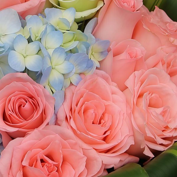 相守相依 · 粉佳人玫瑰与蓝色绣球花束 19 Pink Roses and Blue Hydrangea Bouquet - Harmonious Bond - 2