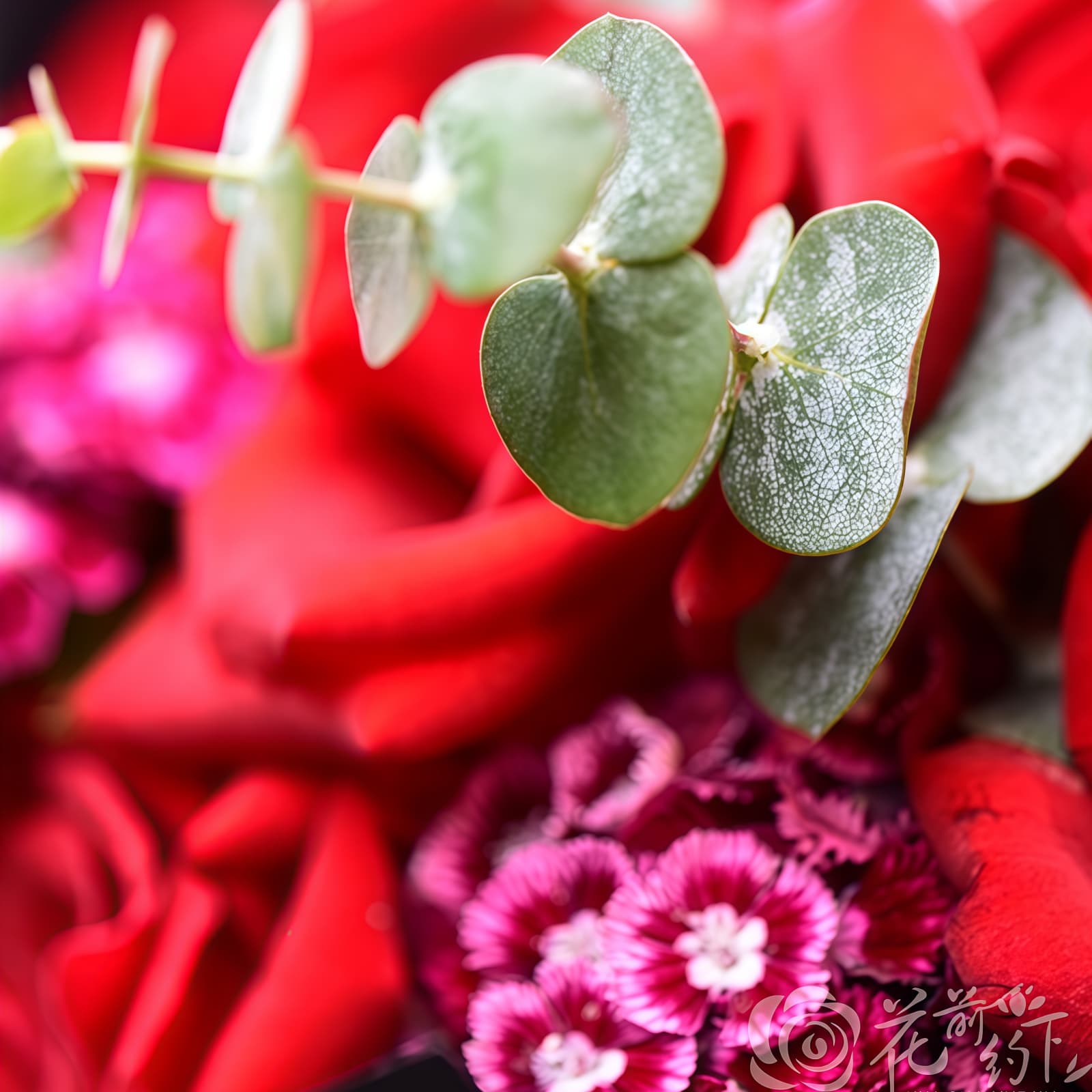不变的承诺 · 红玫瑰与相思梅 19 Red Roses Bouquet - Endless Devotion | Premium Romantic Floral Gift - 5