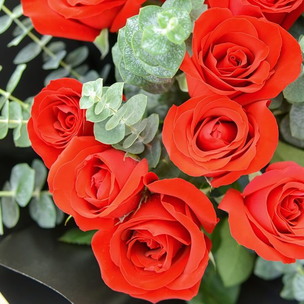 安好 · 11枝红玫瑰花束 11 Red Roses Bouquet - Pure Joy | Romantic Floral Gift - 4
