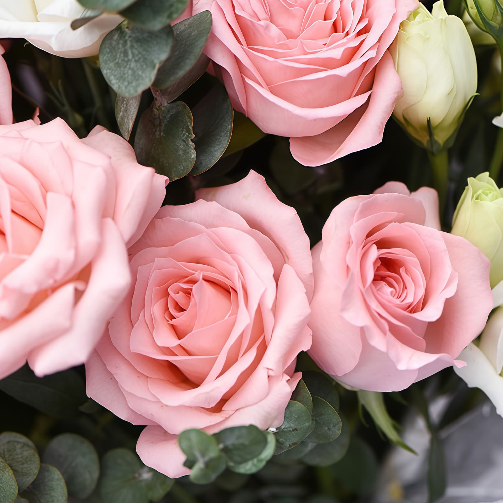 岁月静好 · 粉玫瑰与桔梗搭配 19 Pink Roses Bouquet - Forever Young | Elegant Floral Gift - 5