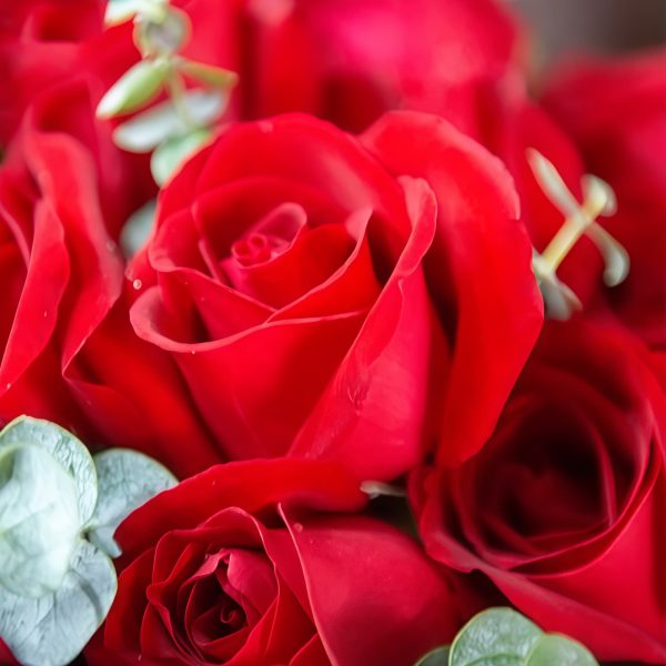 19 Red Roses Bouquet - Sweet Token | Romantic Floral Gift - 4