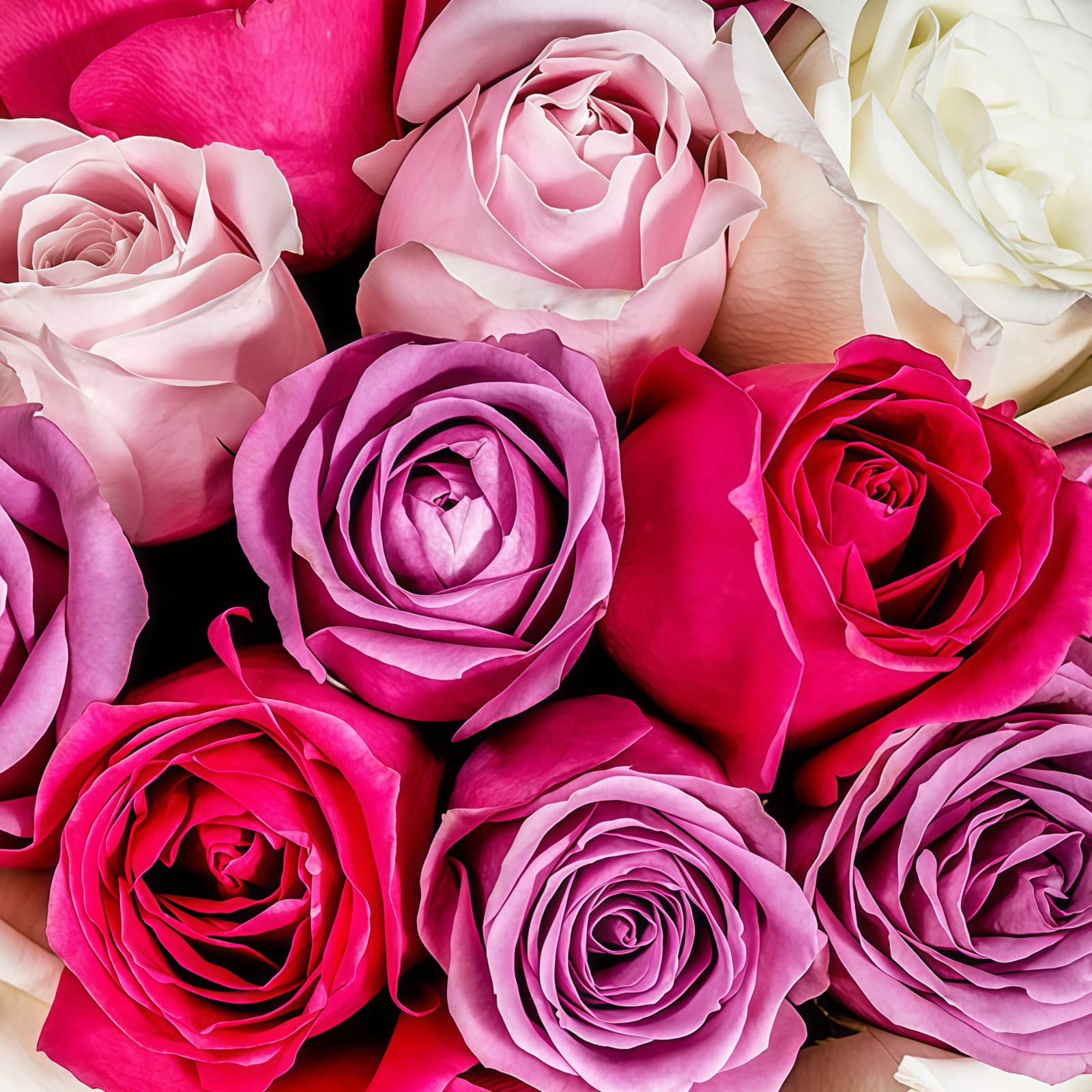 缤纷 · 各色玫瑰33枝混搭 33 Multi-Color Roses Bouquet | Vibrant Assorted Flower Arrangement - 4