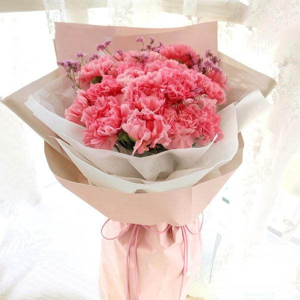 情深似海 · 康乃馨与满天星花束 19 Carnations and Stargazer Lily Bouquet - Deep Affection Floral Gift