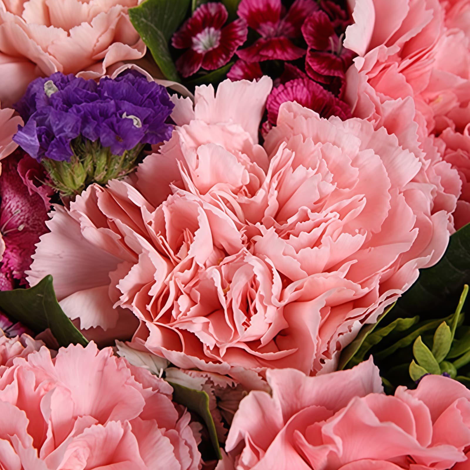 幸福绽放 · 粉康乃馨与石竹梅点缀 19 Pink Carnations Bouquet - Joyful Bloom Floral Arrangement - 4