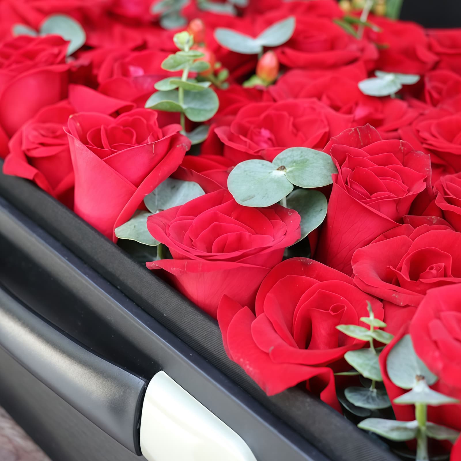主题 · 99枝红玫瑰礼盒 99 Red Roses Gift Box - Iconic Romantic Floral Arrangement - 3